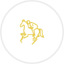 Equestrian Finance